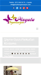 Mobile Screenshot of pinyataorganizasyon.com