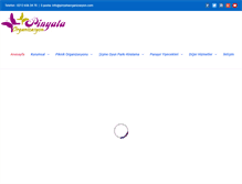 Tablet Screenshot of pinyataorganizasyon.com